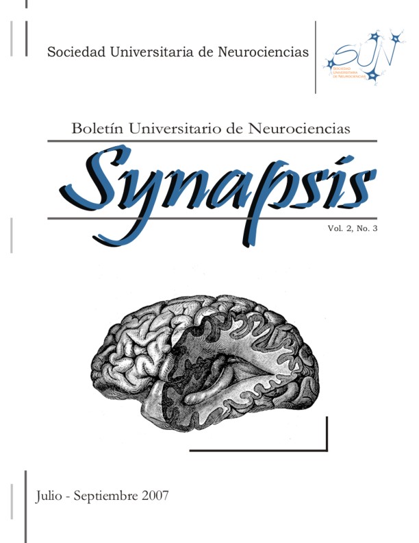 SYNAPSIS 2007 2(3)